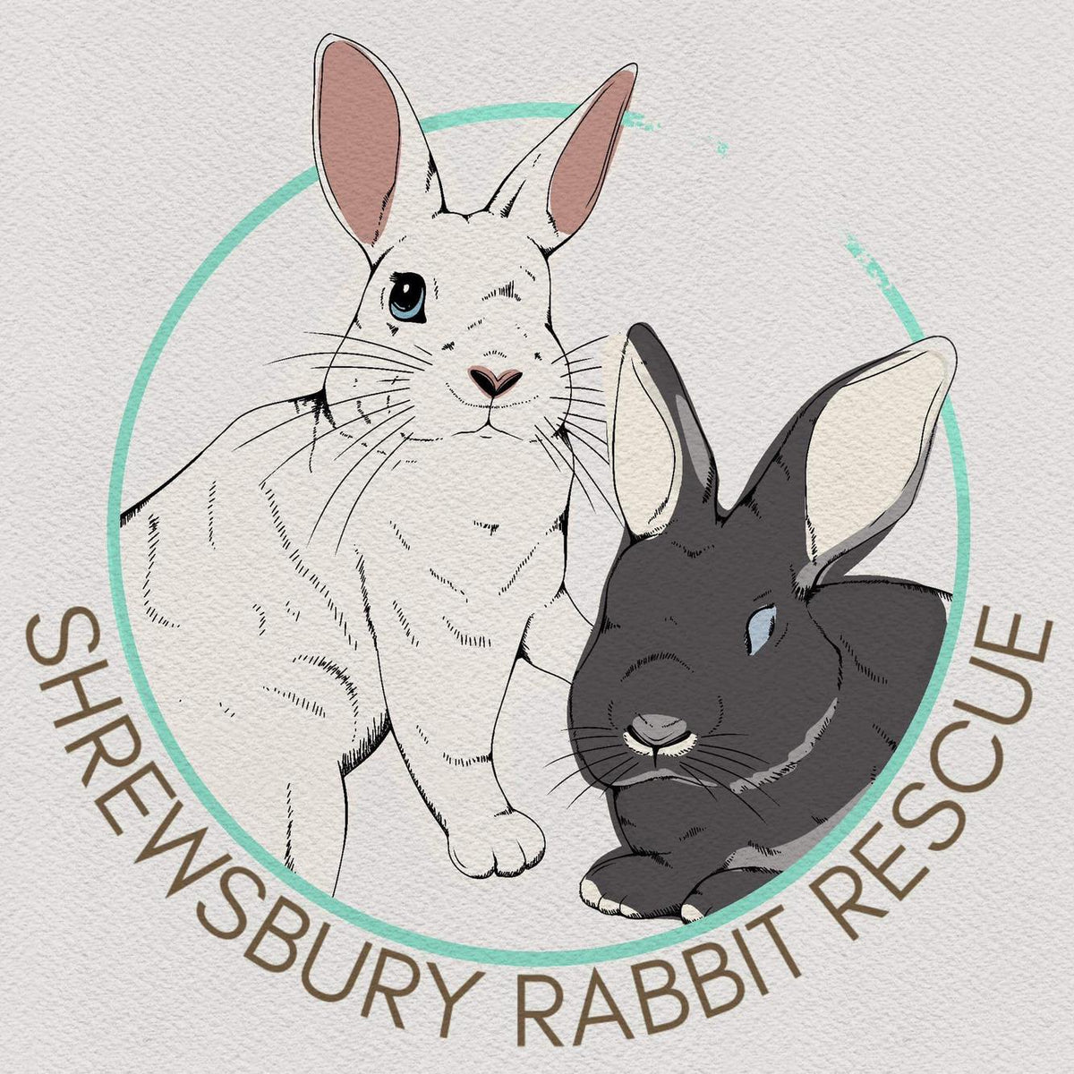 Shrewsbury Rabbit Rescue image 0