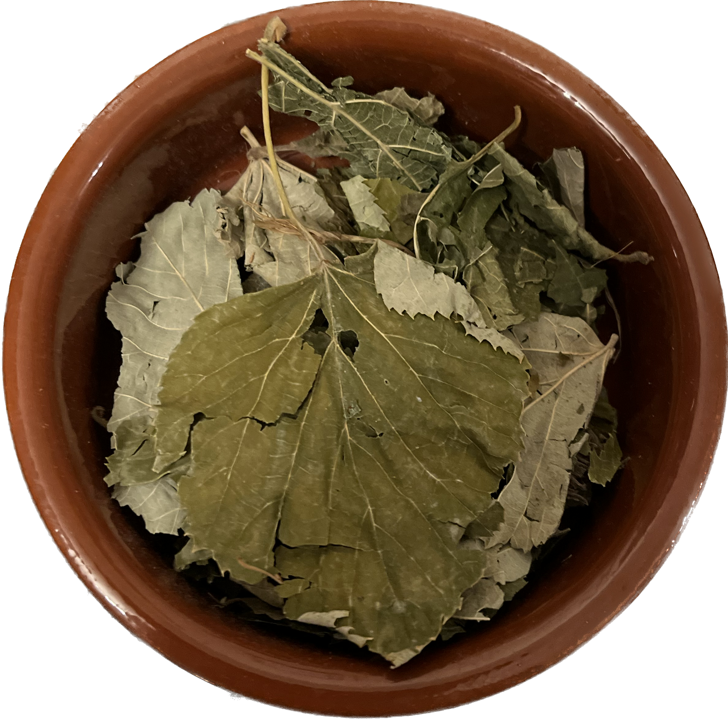 Linden leaves. image 0