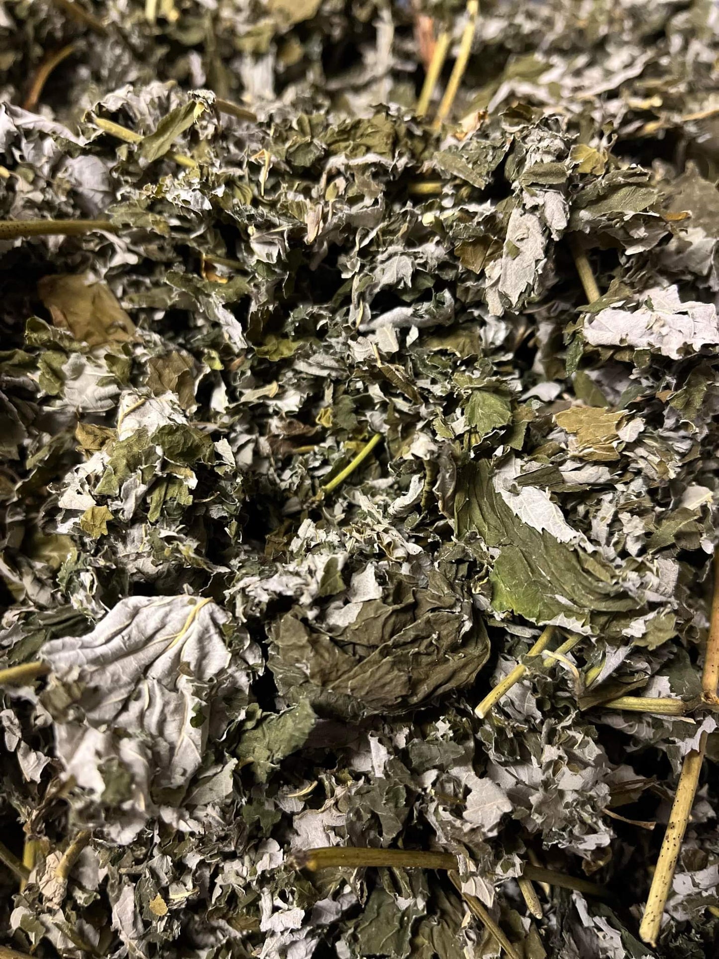 Raspberry Leaves image 0