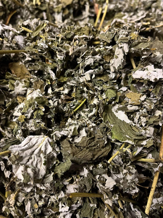 Raspberry Leaves image 0