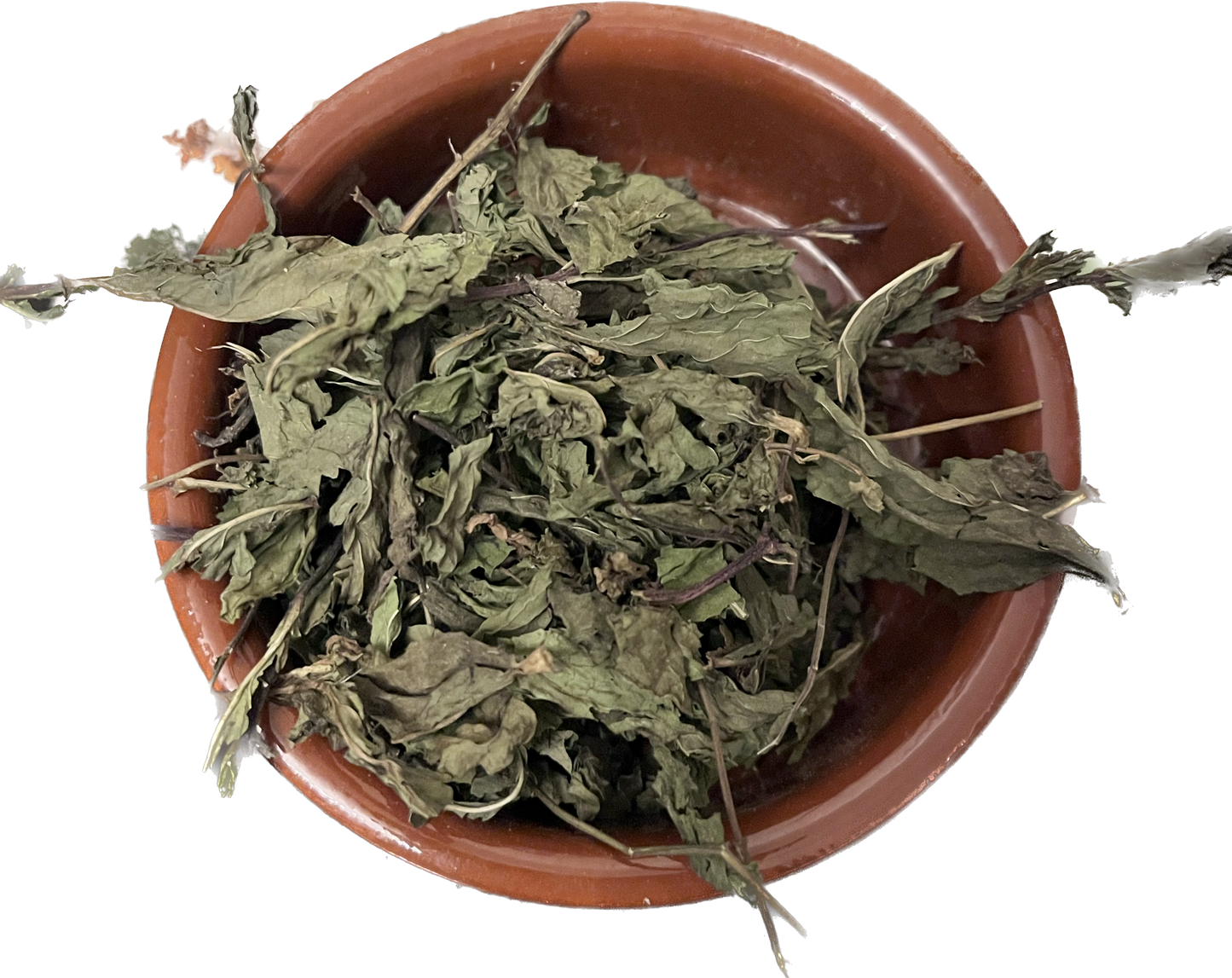 Spearmint Leaves image 0
