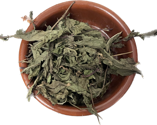 Spearmint Leaves image 0