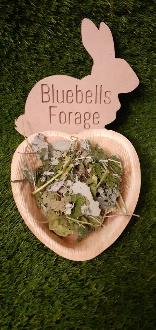 English Orchard Salad. image 0