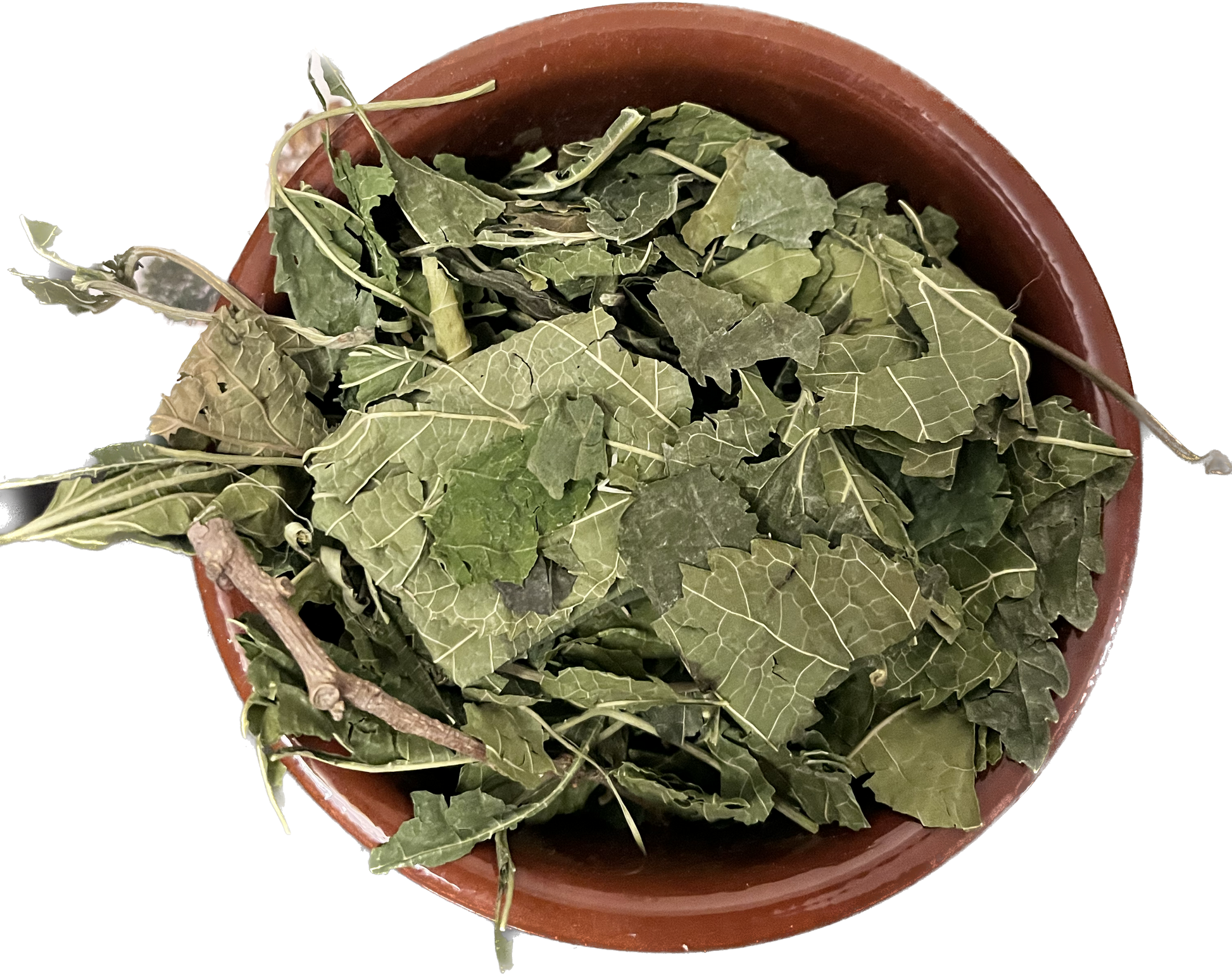 Mulberry Leaves * image 0