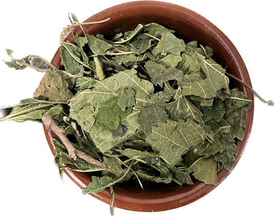 Mulberry Leaves * image 0