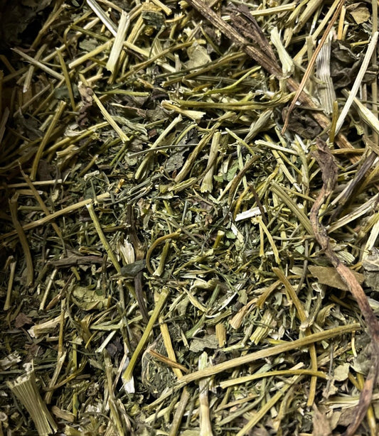 Dill image 0