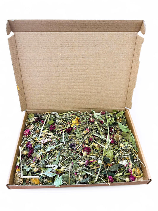 Flower & Herb Forage image 0