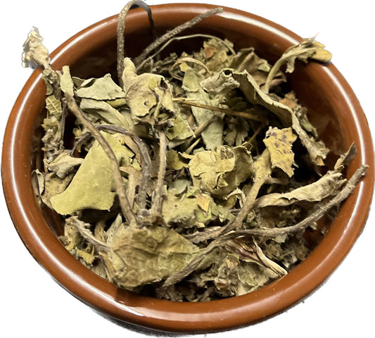 Coltsfoot image 0