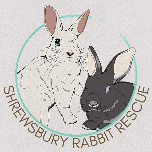 Shrewsbury Rabbit Rescue image 0