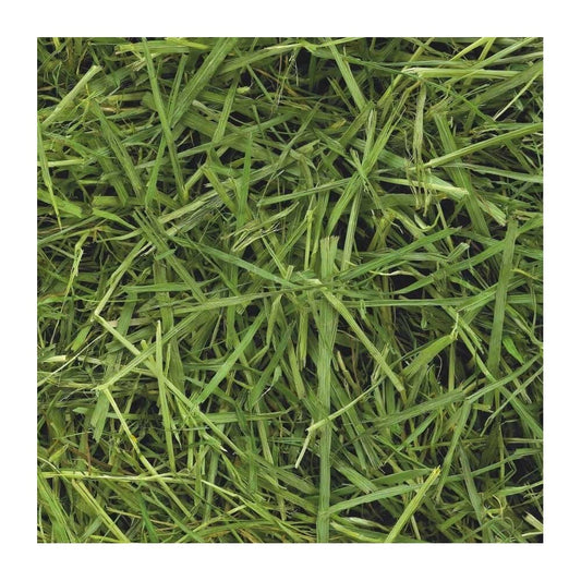 Readigrass (boxed) - 1kg image 0