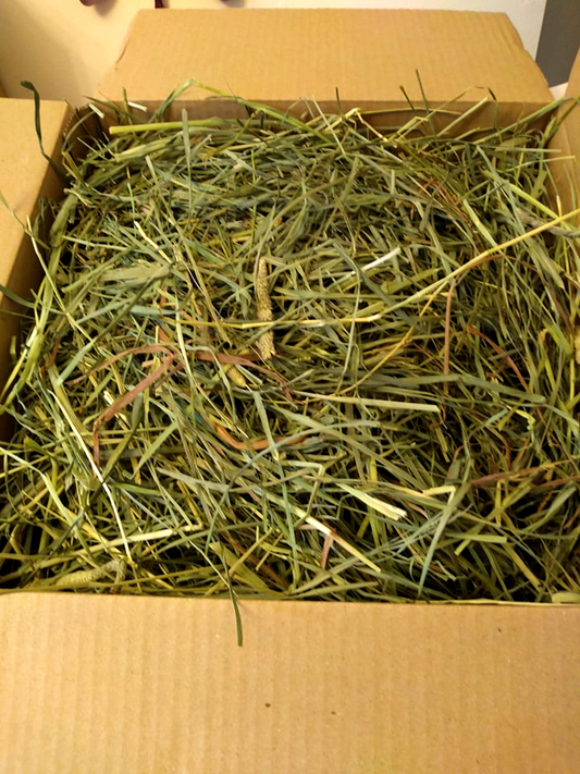 Premium Timothy Hay Herb & Flower Mix image 0