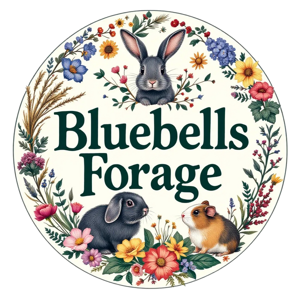 Bluebells Forage