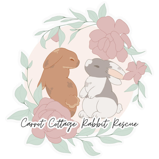 Carrot Cottage Rabbit Rescue image 0