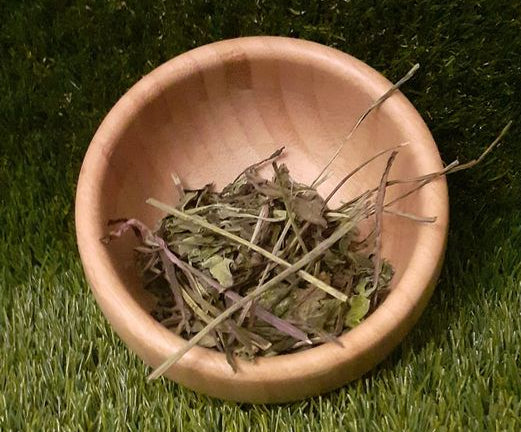 Echinacea Leaves image 0
