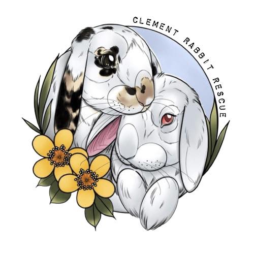 Clement Rabbit Rescue image 0