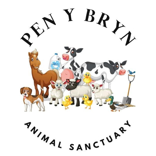 Pen Y Bryn Animal Sanctuary image 0