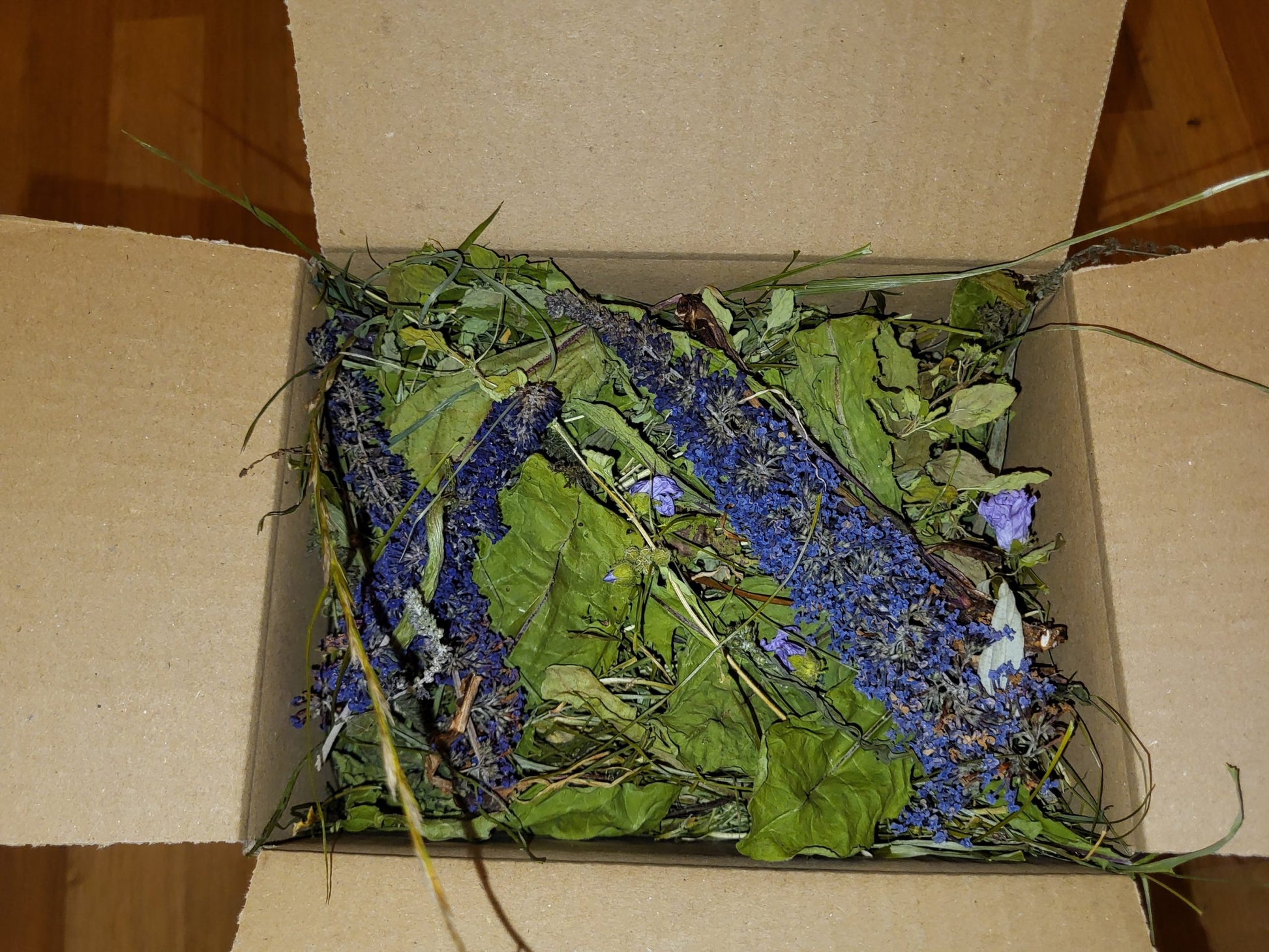 Bluebells House Forage image 0