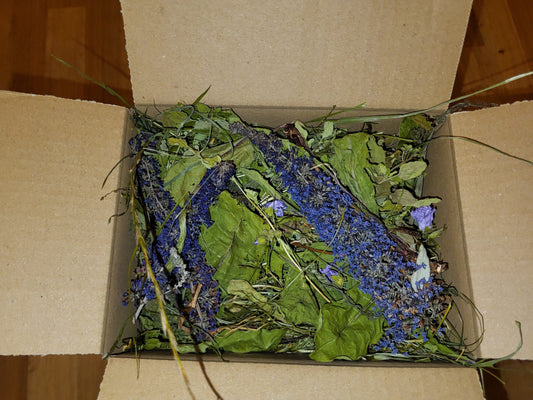 Bluebells House Forage image 0