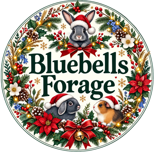 Bluebells Forage Advent 2026