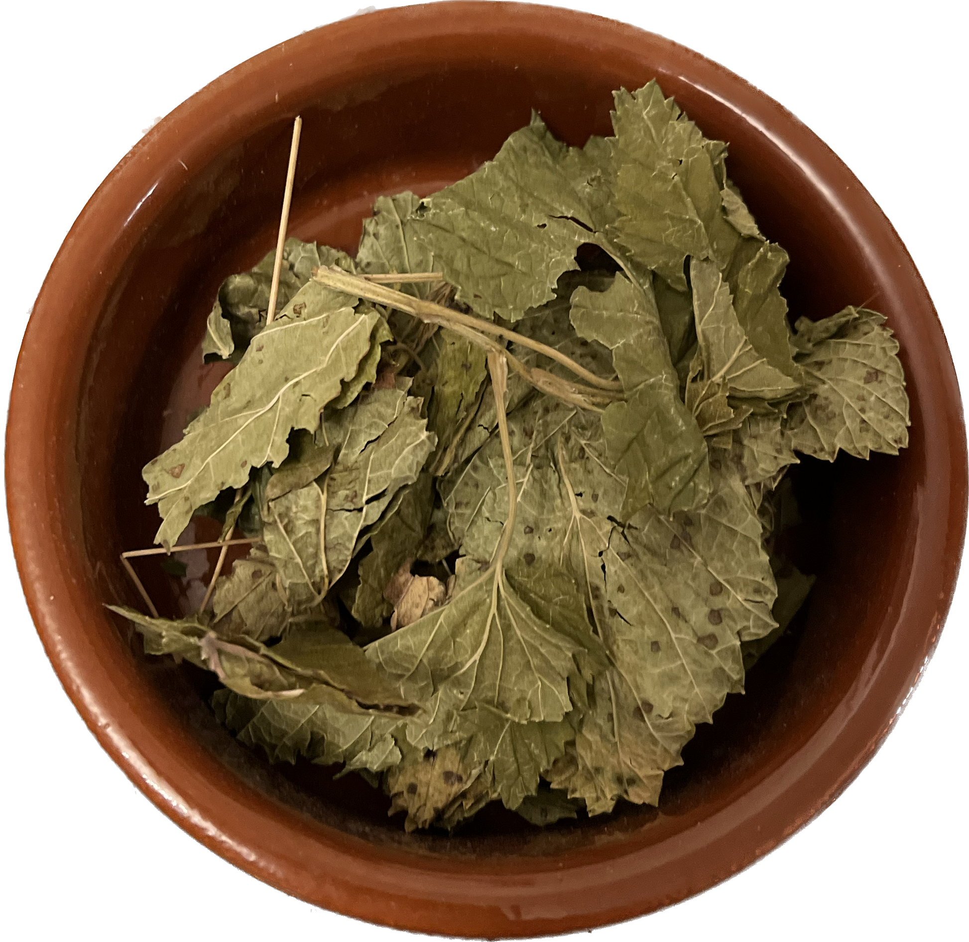 Blackcurrant Leaves image 0