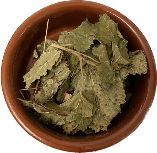 Blackcurrant Leaves image 0