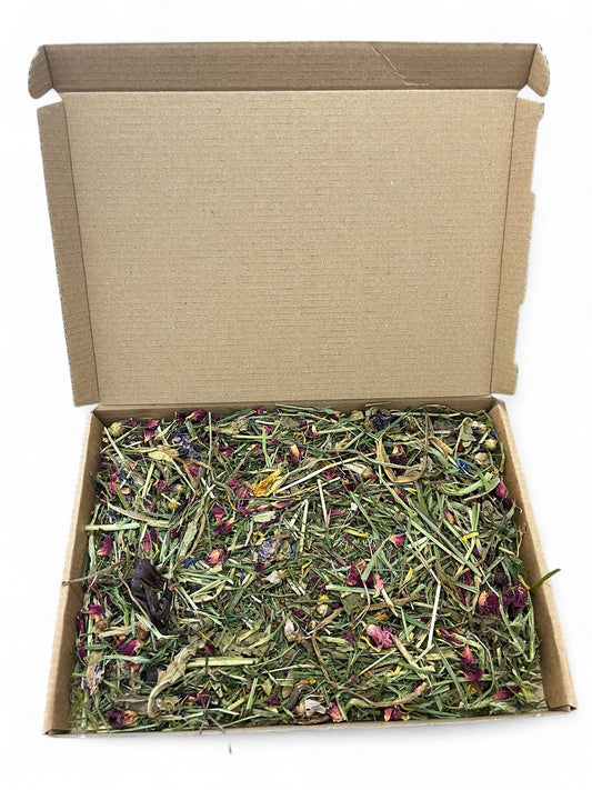 Meadow Delight Forage image 0
