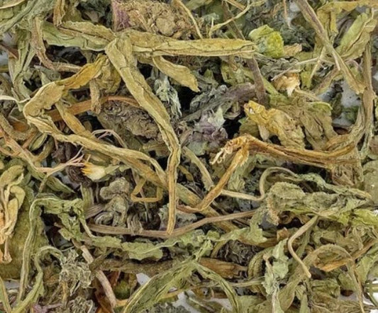 Dandelion leaves image 0