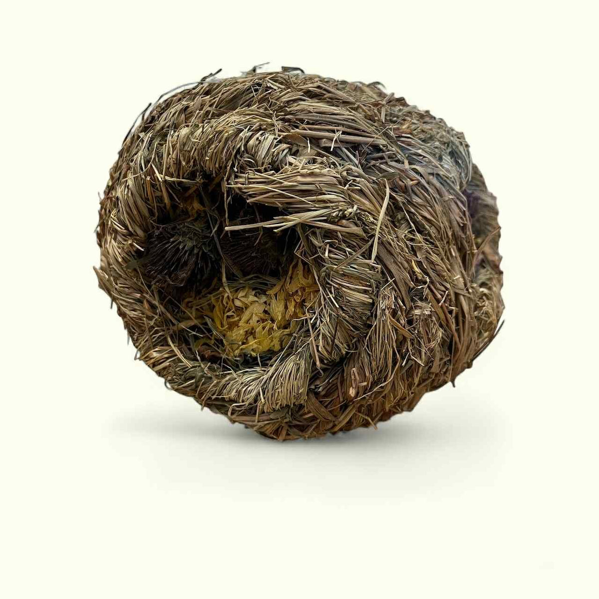 The Hive image 1