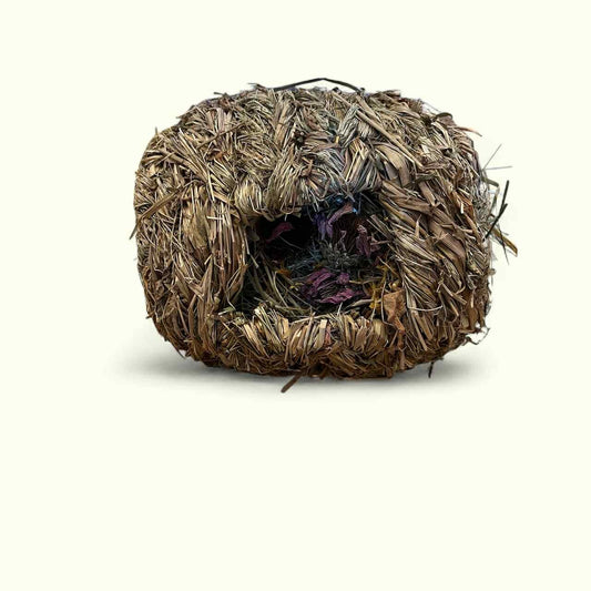 The Hive image 0