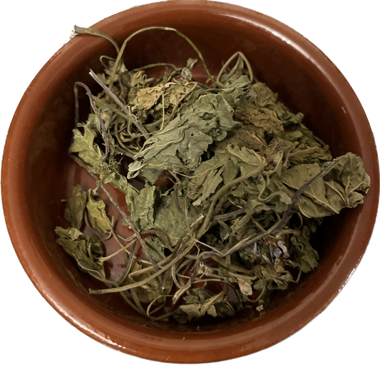 Mallow Leaves image 0
