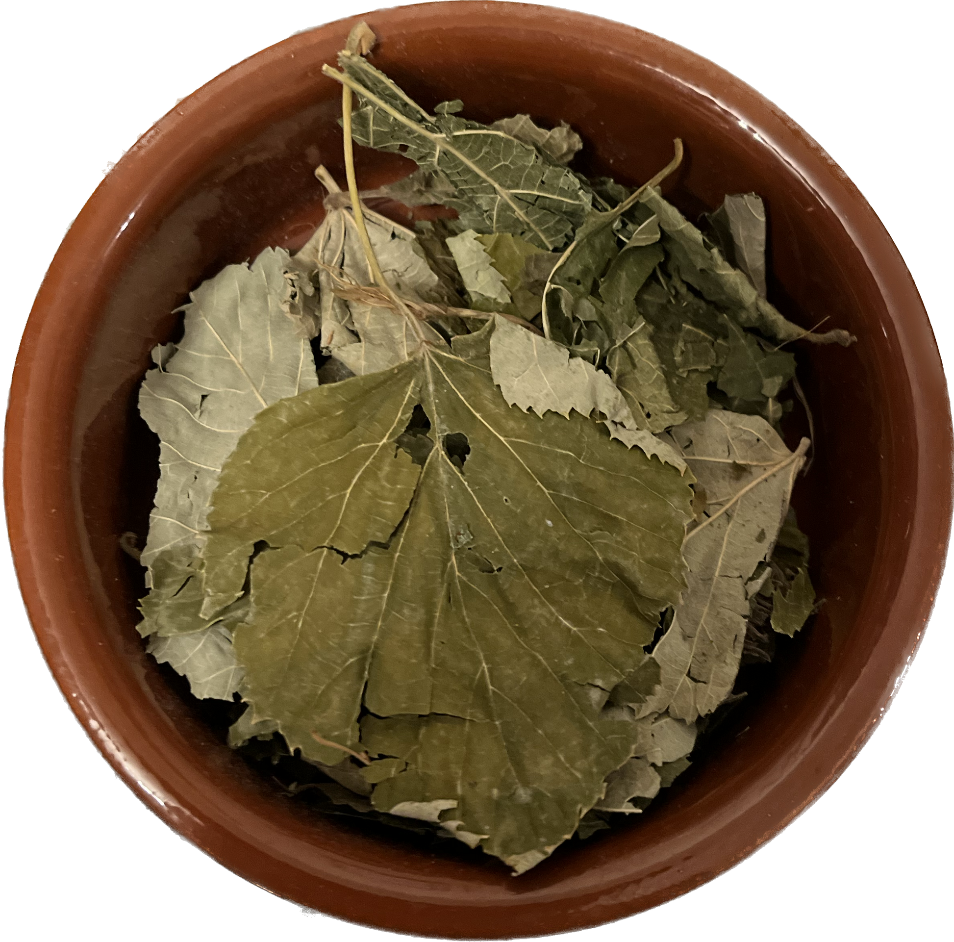 Linden leaves. image 0