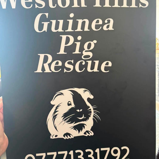 Guinea pig and rabbit rescue Weston hills